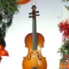 OC12 - 5" Cello Ornament